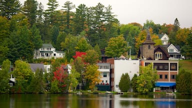 Lake Placid showing a lake or waterhole