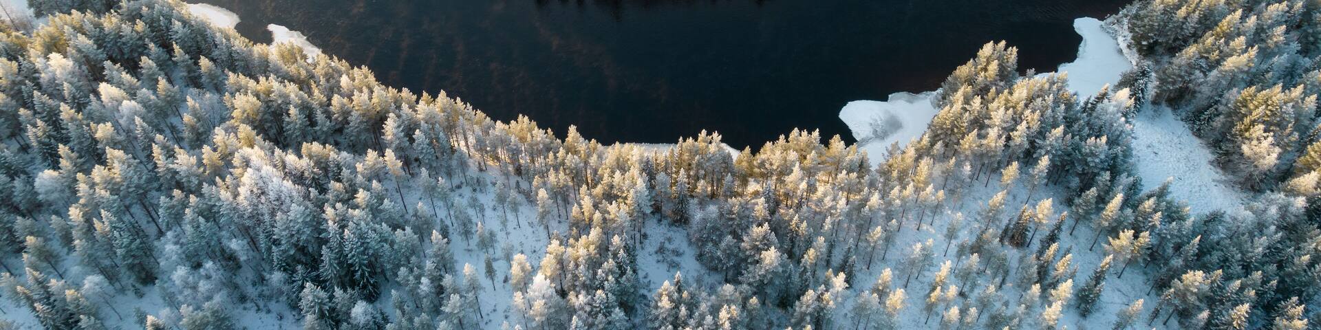 A frozen lake surrounded by dense, snow-covered forests.