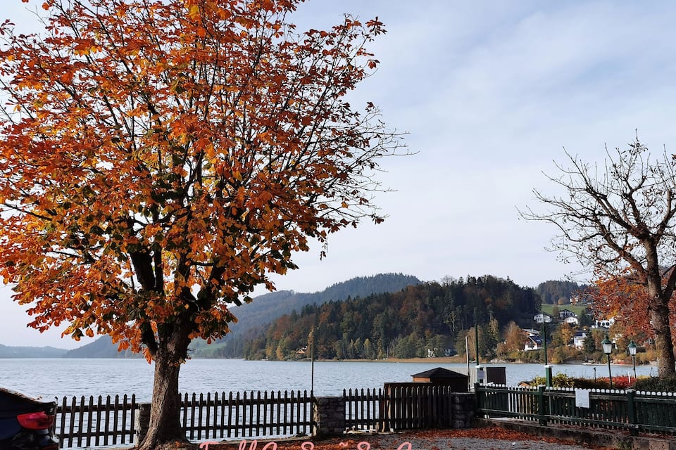 Un lac bordé d’arbres aux couleurs automnales, une clôture en bois et des maisons en arrière-plan.