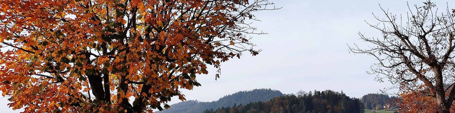 From Fuschl Am See bus stop, it's only 5 minutes walk to Lake Fuschl. A serene and peaceful lake.
#autumninaustria #autumn2019