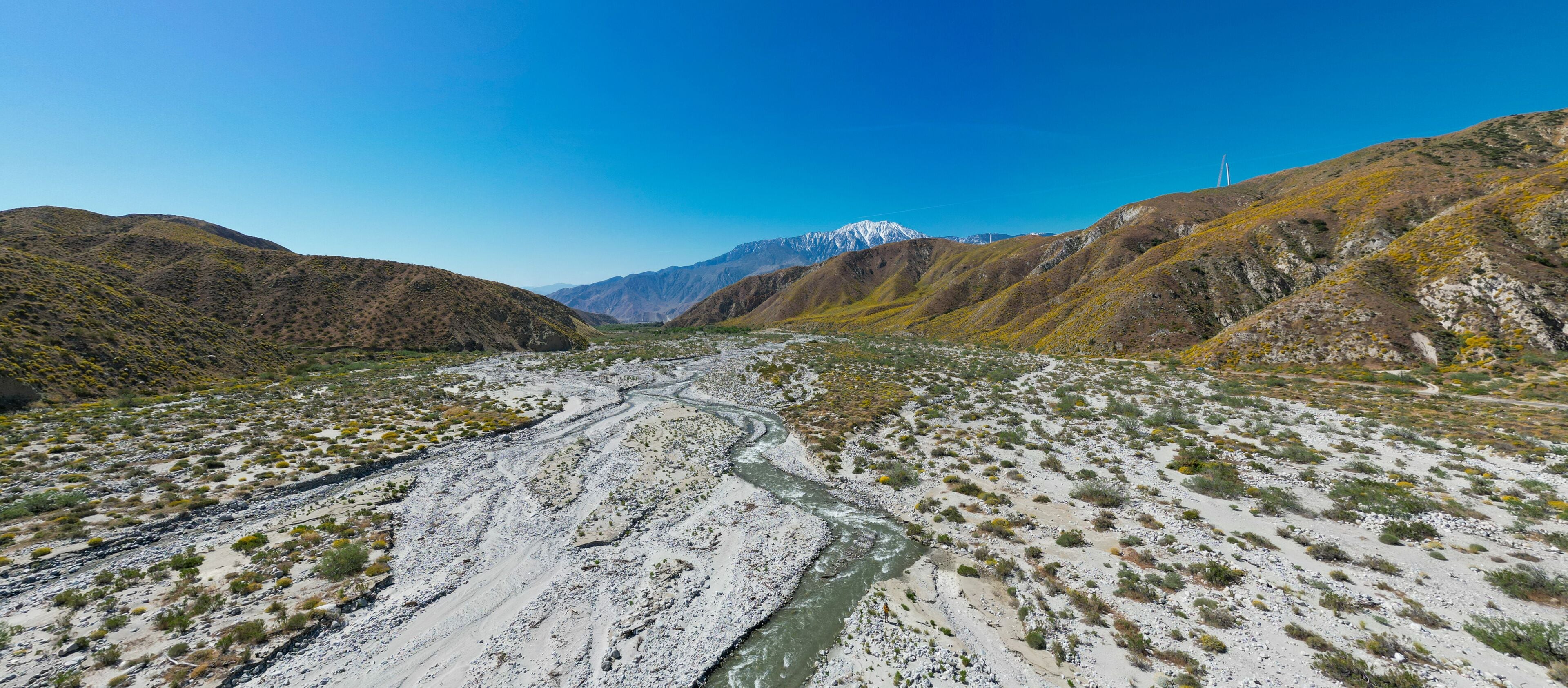 The Whitewater River Valley near Palm Springs, California, where the recent wet winter cause a super bloom of flowers near the river in the Desert.