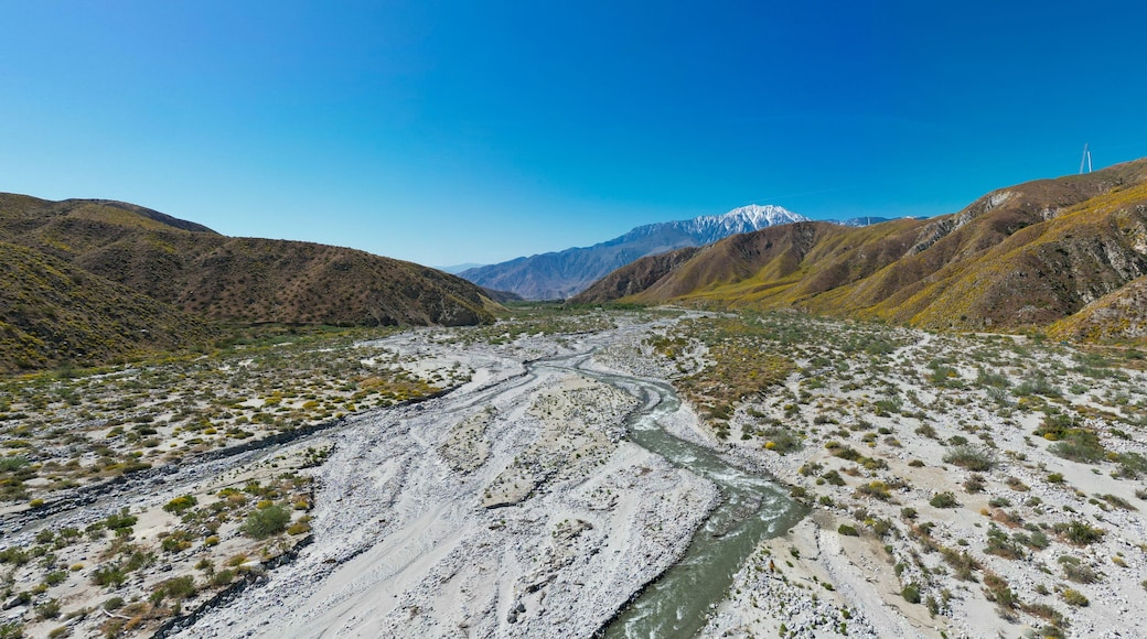 The Whitewater River Valley near Palm Springs, California, where the recent wet winter cause a super bloom of flowers near the river in the Desert.