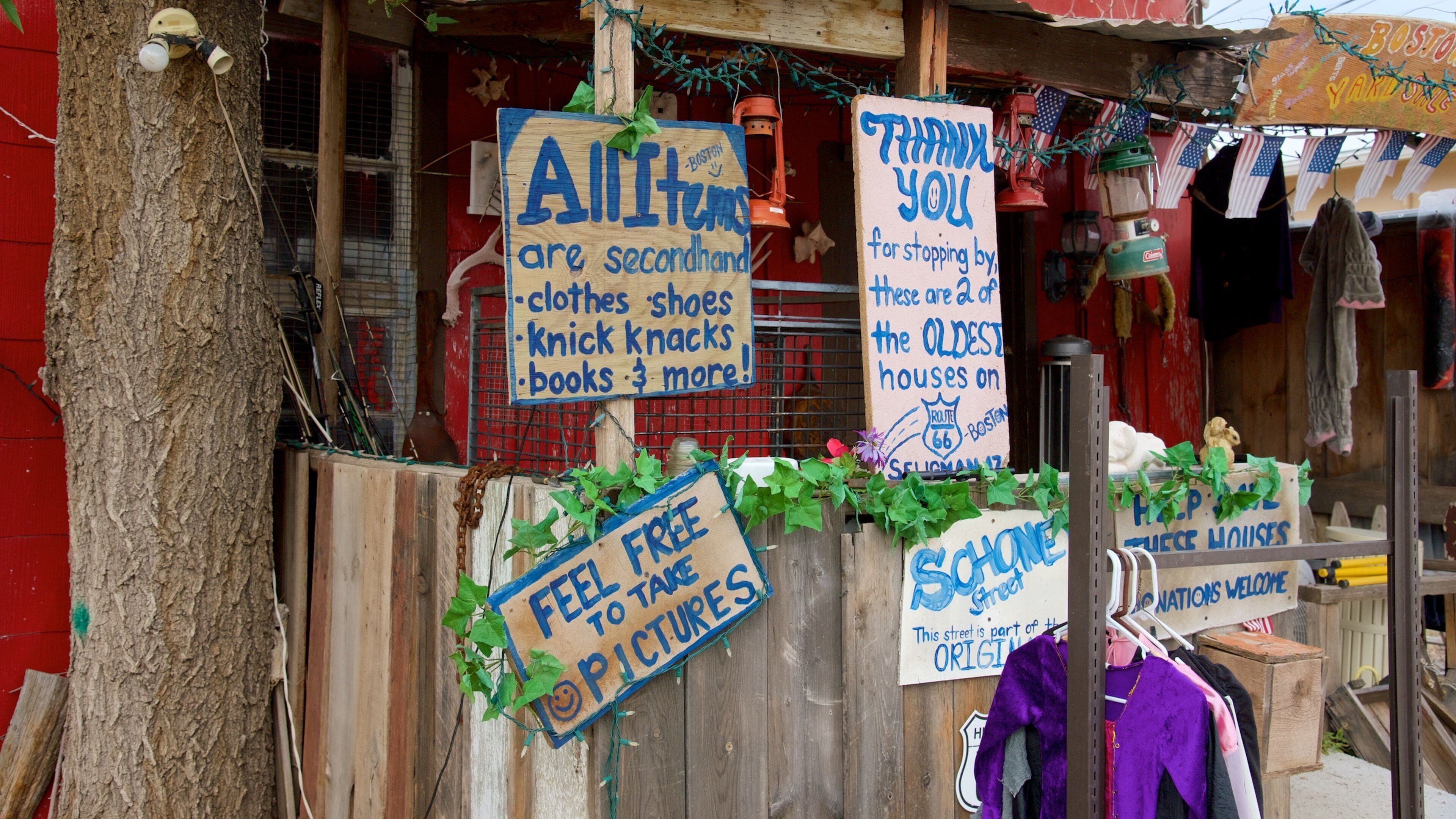 Seligman featuring signage and street scenes