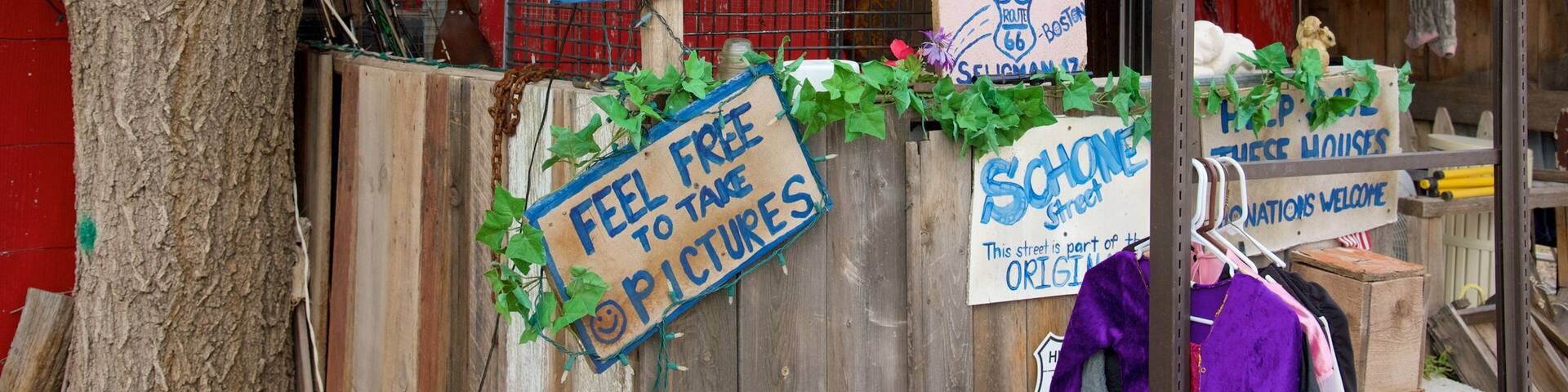 Seligman featuring signage and street scenes