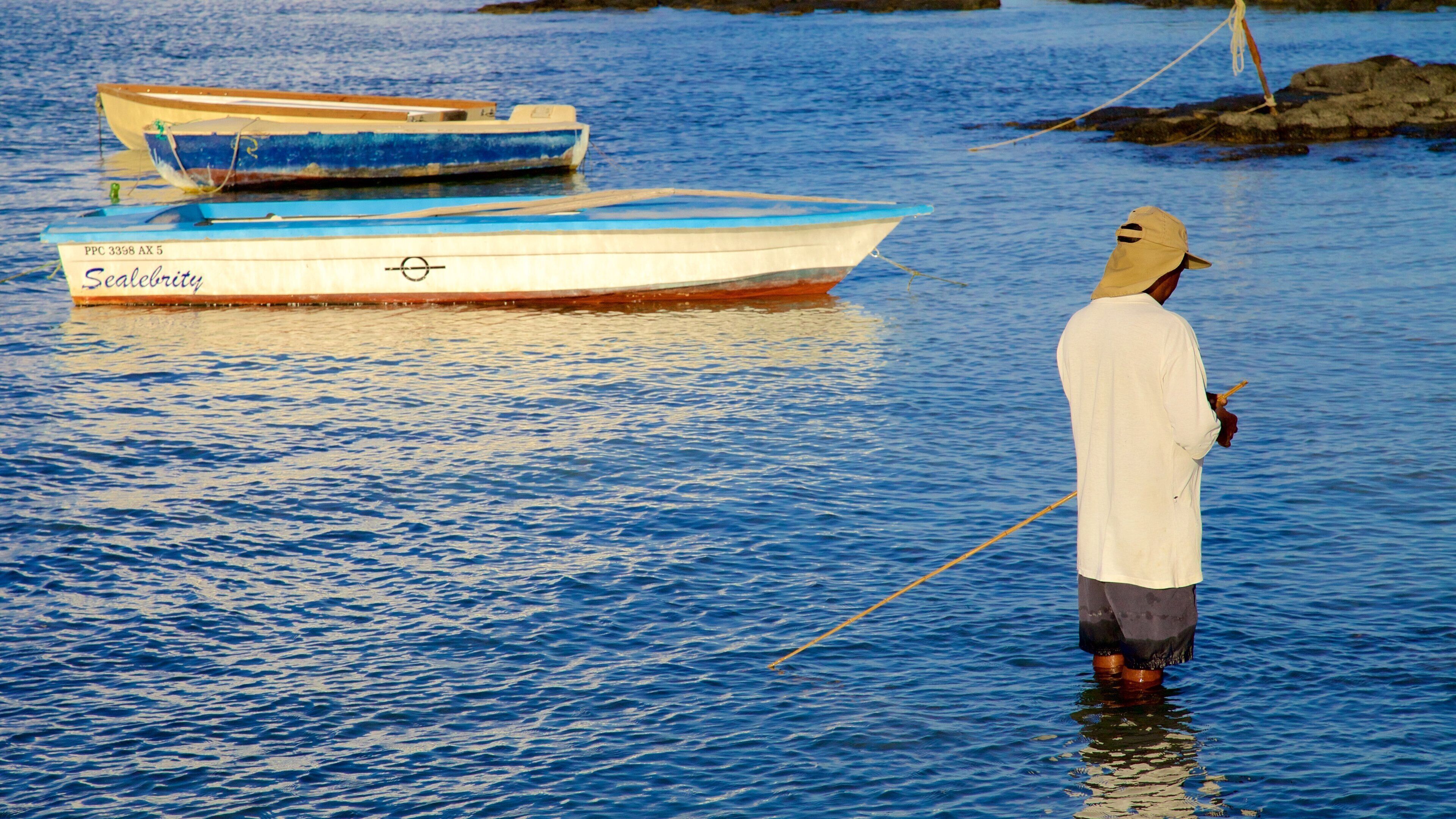 Cap Malheureux inclusief algemene kustgezichten, vissen en varen