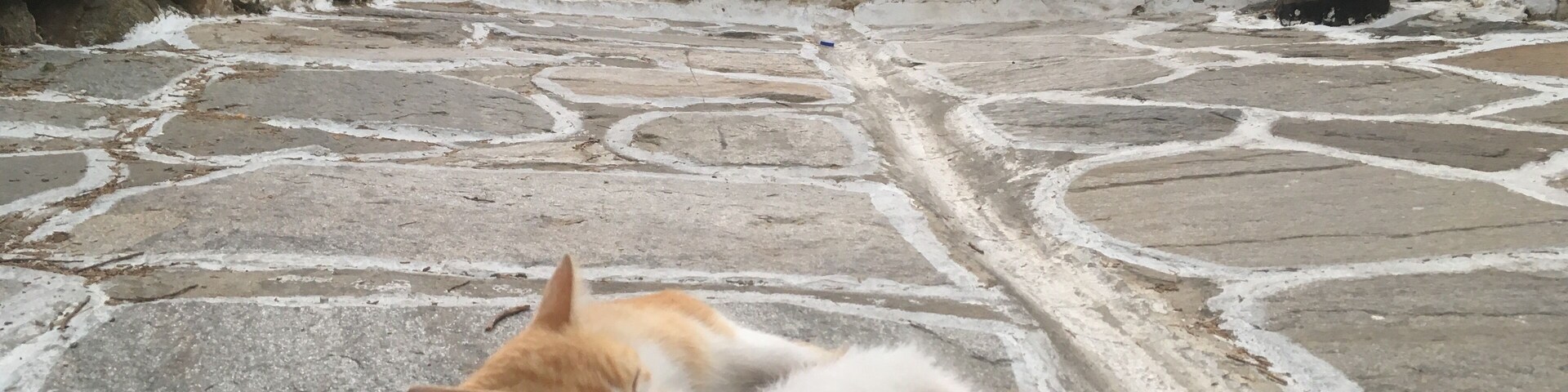 His friend is making his washing
#greece
#paros