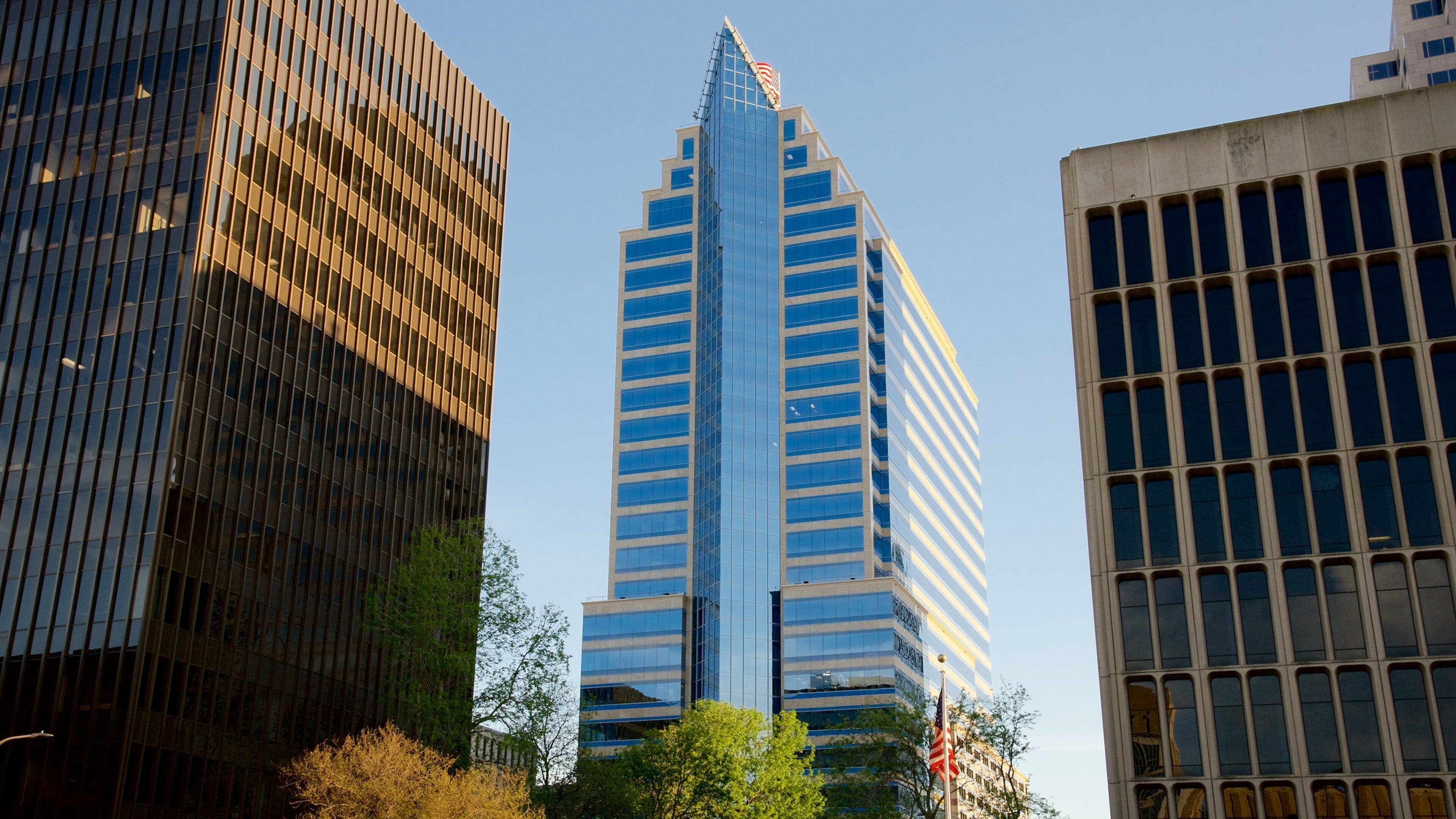 Bay Area showing city views