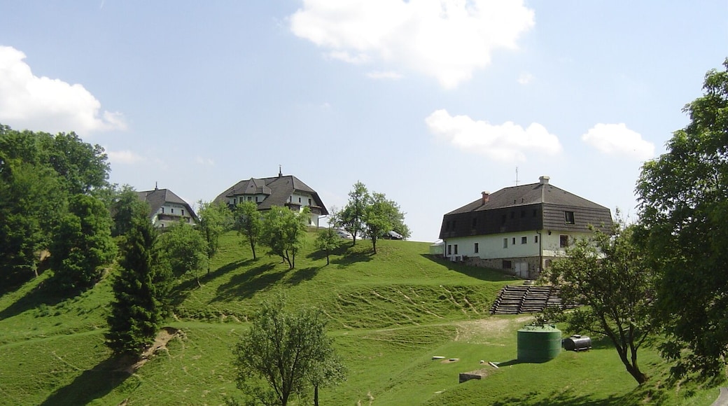 A little Slovenian village in the spring.
#SpringFun