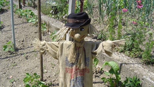 "Horrible" scarecrow.
#SpringFun