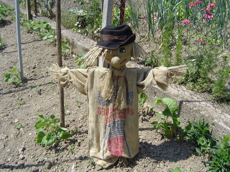"Horrible" scarecrow.
#SpringFun