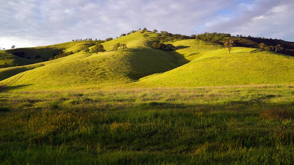 Rolling green hills with scattered trees under a partly cloudy sky.