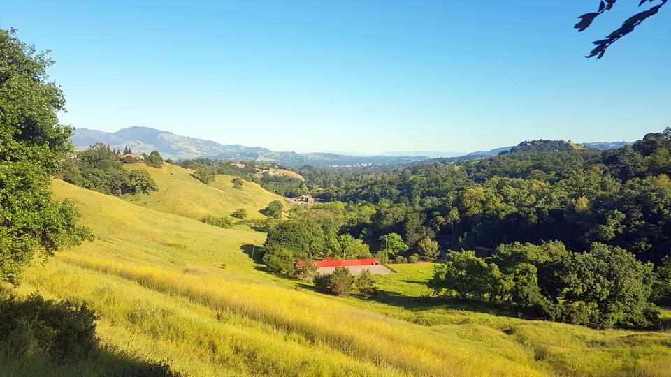 Rolling green hills, a red-roofed building, and a valley with dense forests.