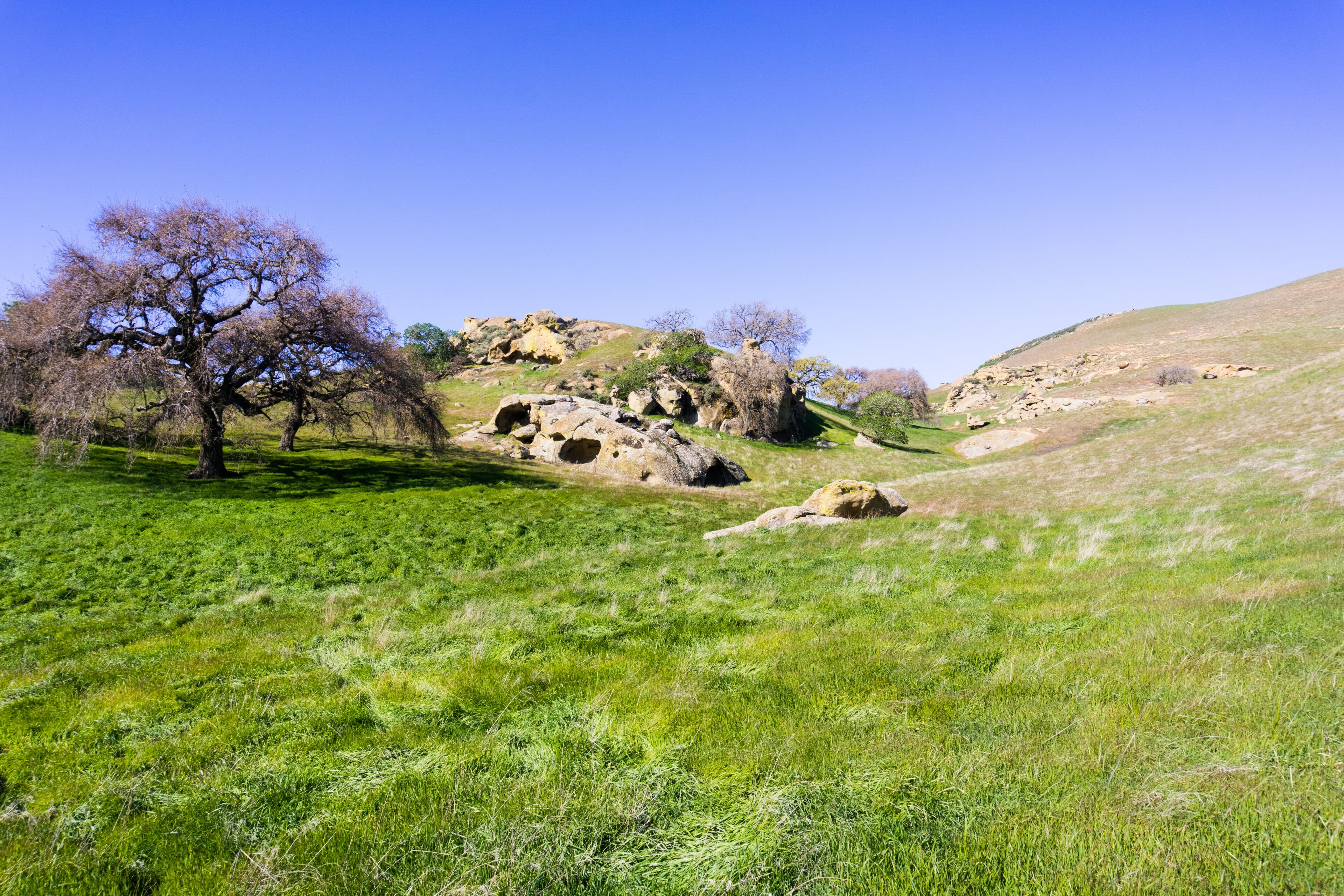 Verdant pastures in the hills of Contra Costa county, east San Francisco bay area, California
