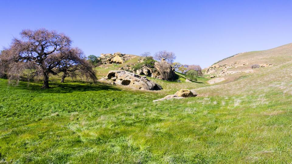 Verdant pastures in the hills of Contra Costa county, east San Francisco bay area, California