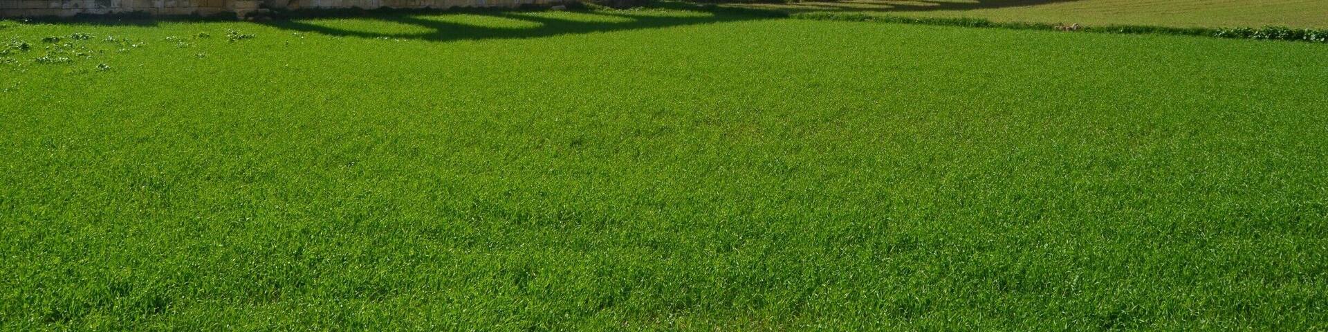 Aquadot, near Gharb at Gozo. Ruins from the roman times.
More from my Gozo trip here: http://www.earthseeing.com/gozo-sightseeing/
#gozo #ruins #scenery #architecture #roadtrip