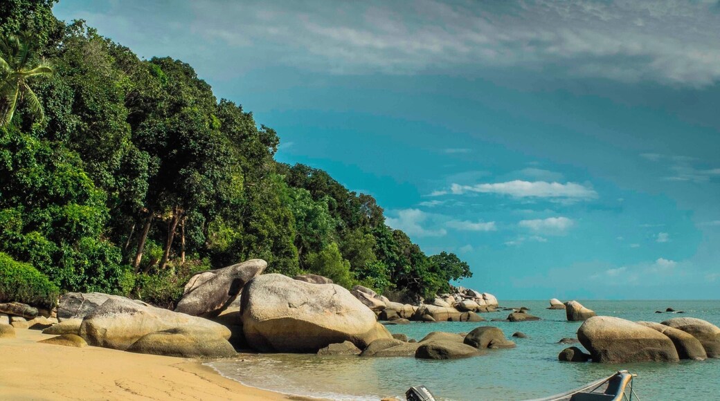 Deserted beach on the north side of Penang Island. Easy to get reach with a scooter.
#beach