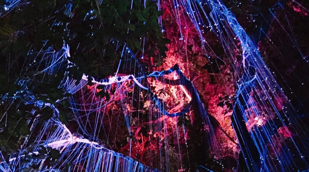 Explore a whole new dimension at the Penang Avatar Secret Garden. Decorated with beautiful lights, it's really a magical experience! Something different to do in Penang, Malaysia! #LifeAtExpedia #likealocal