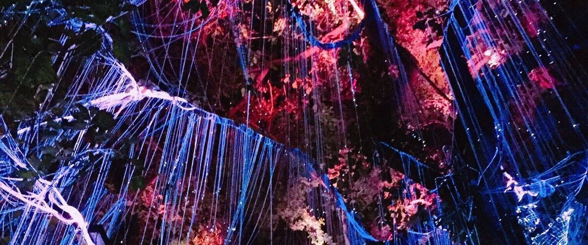 Explore a whole new dimension at the Penang Avatar Secret Garden. Decorated with beautiful lights, it's really a magical experience! Something different to do in Penang, Malaysia! #LifeAtExpedia #likealocal