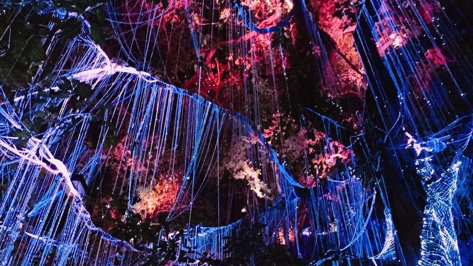 Explore a whole new dimension at the Penang Avatar Secret Garden. Decorated with beautiful lights, it's really a magical experience! Something different to do in Penang, Malaysia! #LifeAtExpedia #likealocal