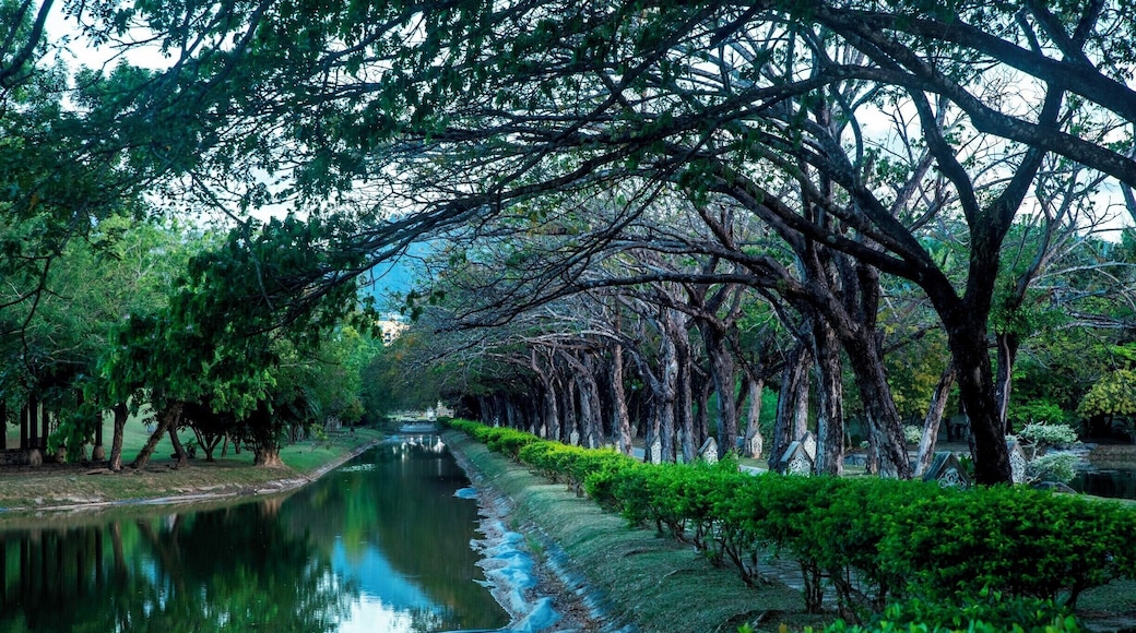 One of the most beautiful parks .
#BvSWater