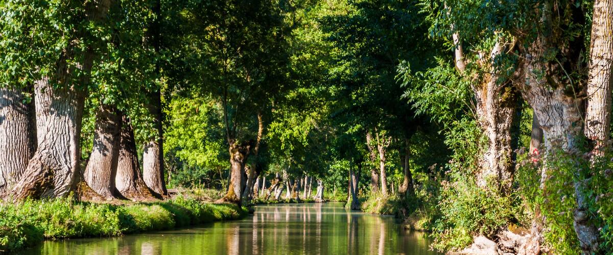 Marais Poitevin, Venise verte, France.