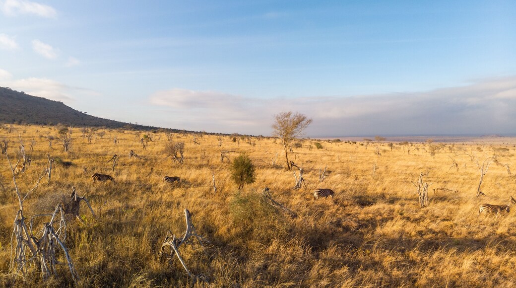 Taita Hills