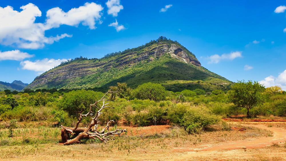 The Taita Hills escarpment near Tsavo West offer dramatic views across the southern Kenya savanna from sheer cliffs, Kenya, Africa