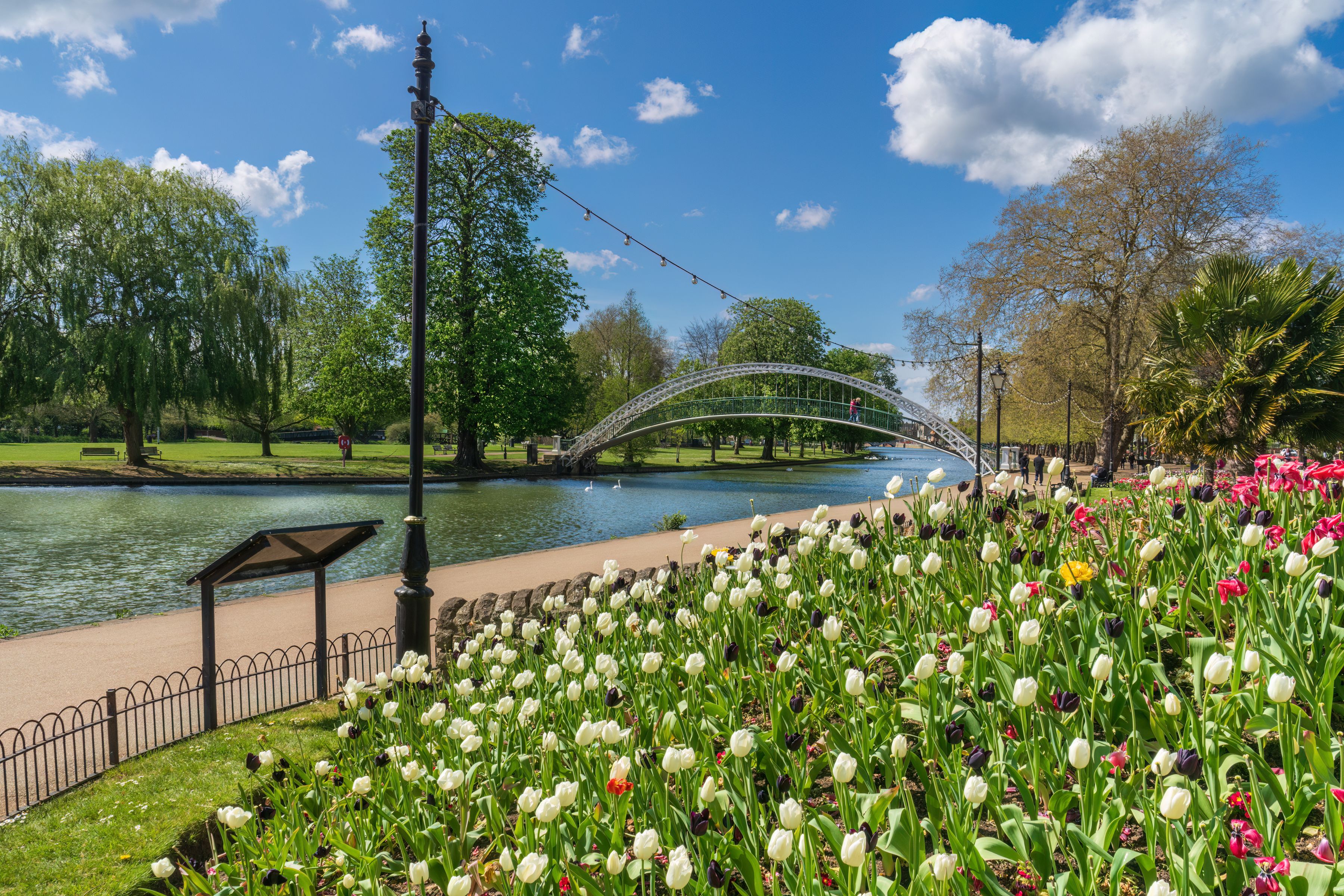 A park with a river, a bridge, and tulips.