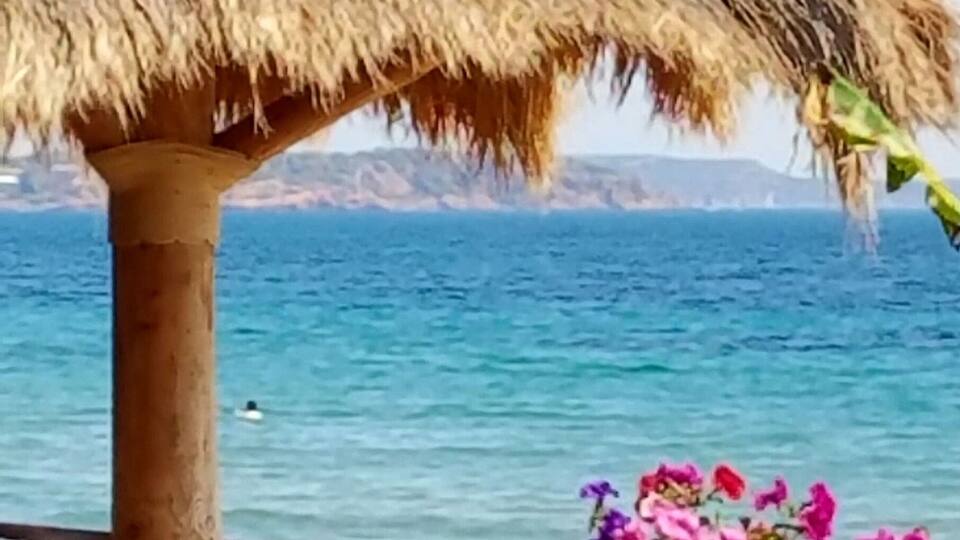 A beach with a thatched umbrella, a flower vase, and a view of the sea.