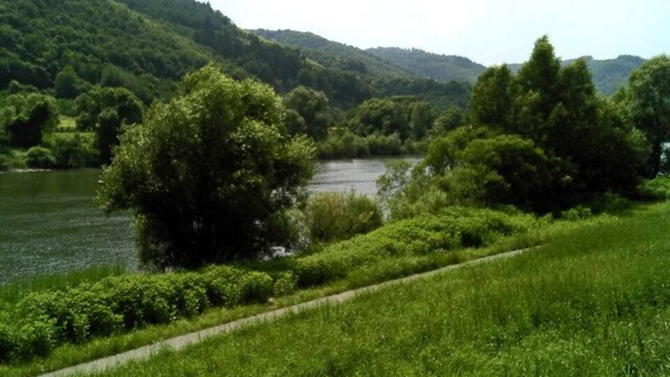 A river surrounded by lush greenery and hills.