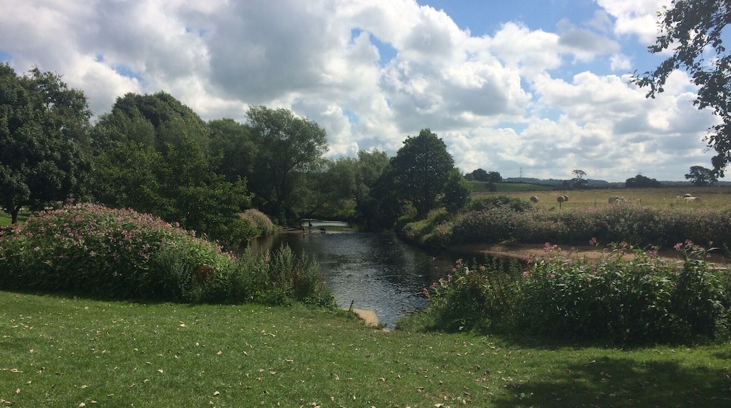 By the river in Garstang a beautiful spot so peaceful