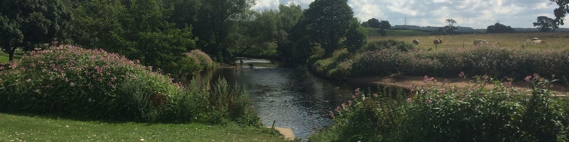 By the river in Garstang a beautiful spot so peaceful