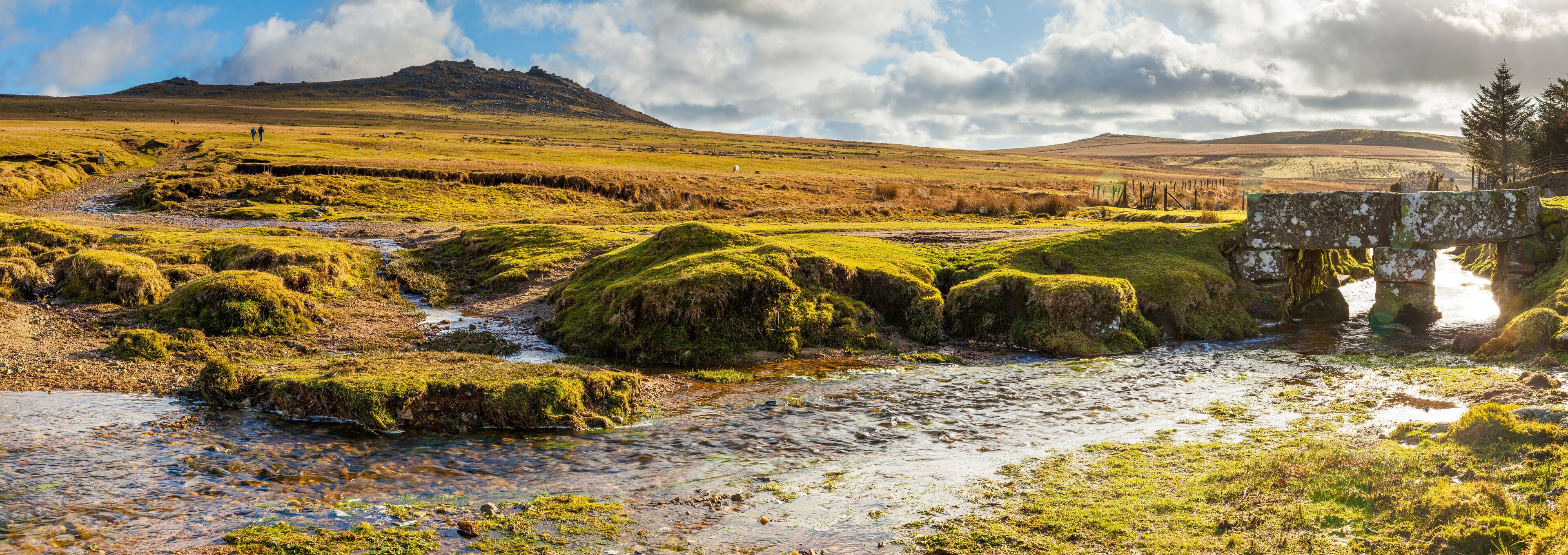Rough Tor Bodmin Moor Cornwall England