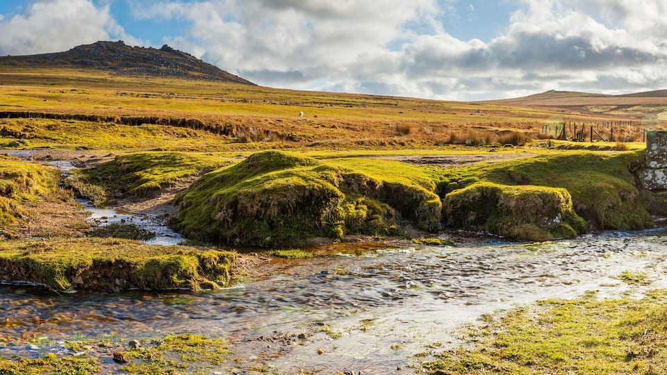 A river flowing through a grassy landscape with moss-covered rocks and a distant hill.