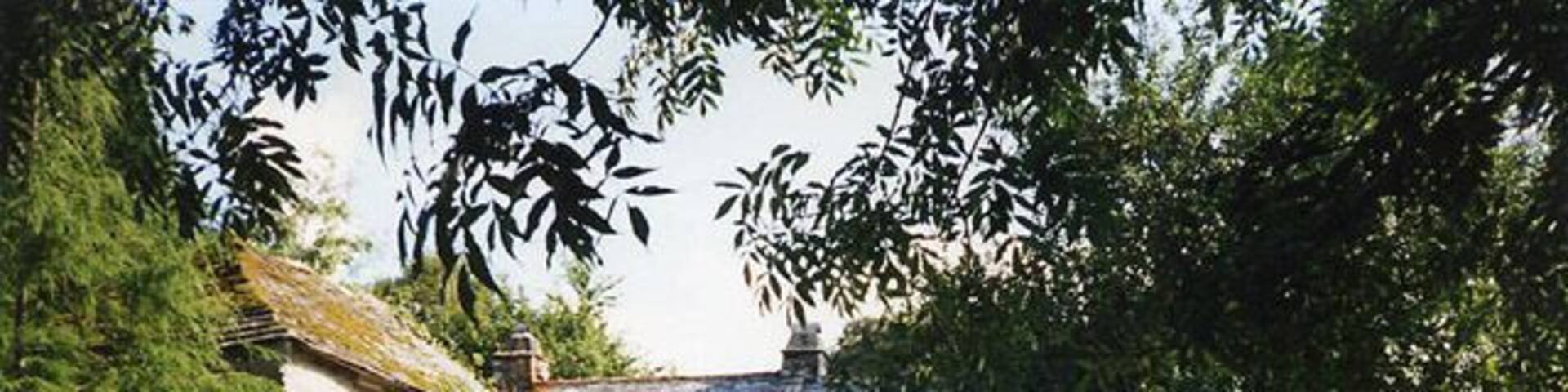 Blisland: Trehudreth Mill. Seen from the lane by the entrance. In 1893 J H Lang was listed as miller here in the local trade directory. The property is now a private residence