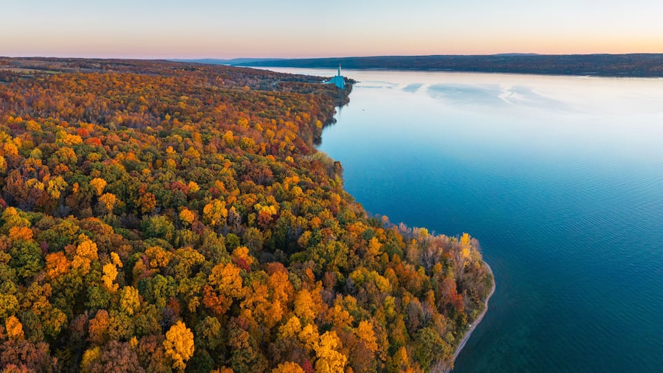 A coastal forest with autumn foliage, a lighthouse, and a calm sea.
