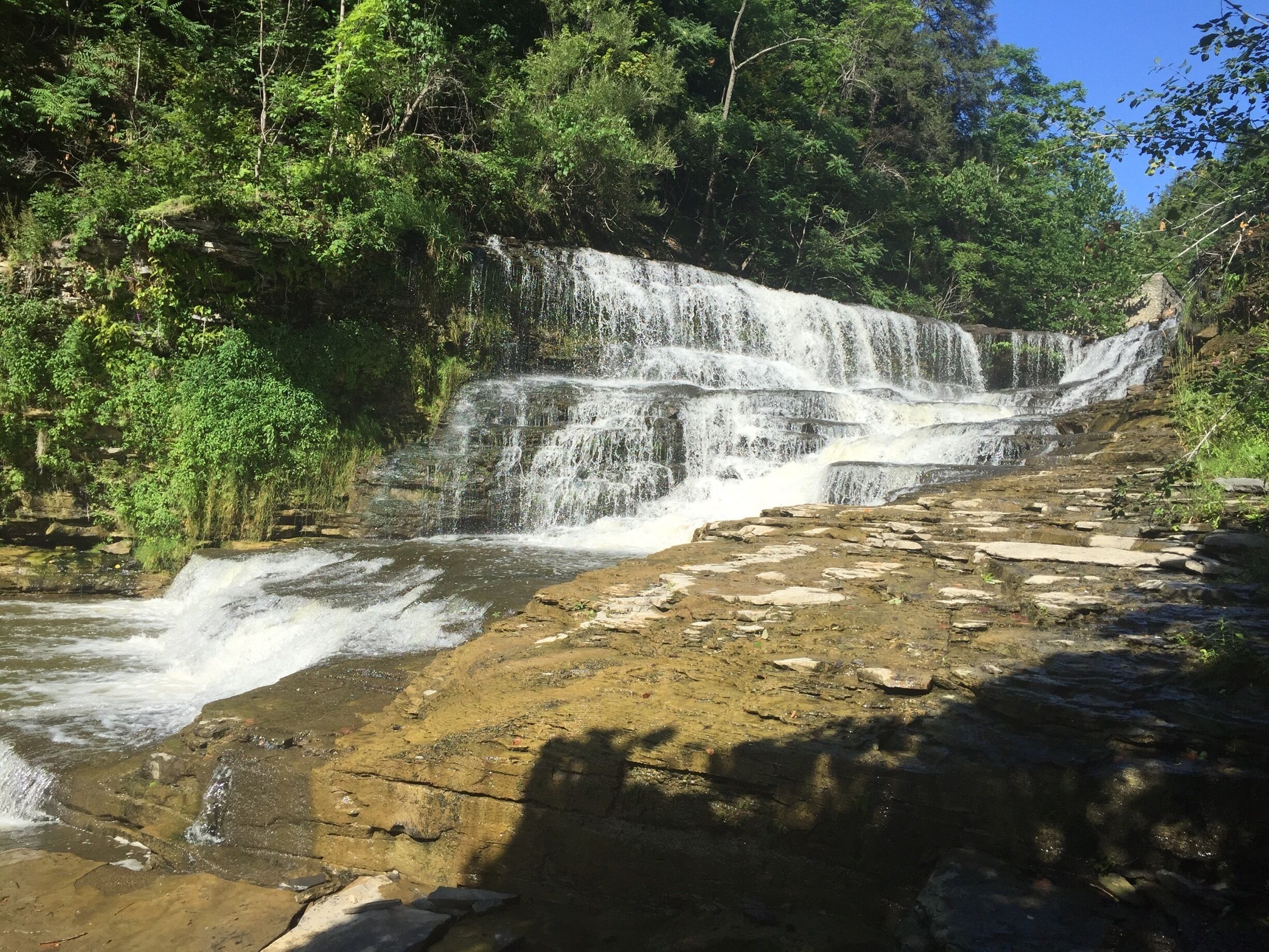 Cornell University Area