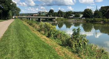 Love the drive to Enfield Falls down to the poofy clouds