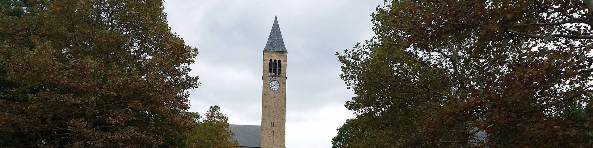 The #Cornell campus has numerous striking paths with views of the clock tower.
#UStravel
#Ithaca
#NewYork
#architecture
