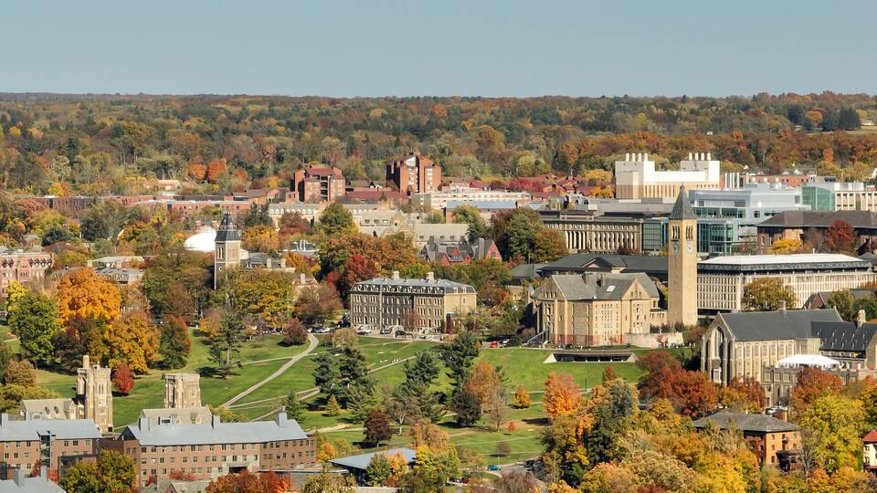 A university campus with historic buildings, a clock tower, and autumn foliage.