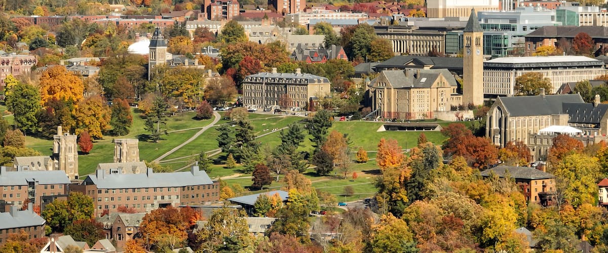 A university campus with historic buildings, a clock tower, and autumn foliage.