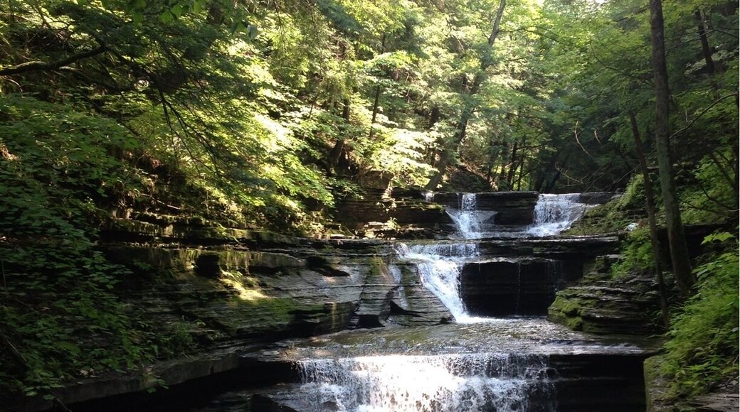 Thanks to trover Members I'm now lost in Ithaca NY and area exploring and hiking in areas so beautiful beyond words. Today I hiked Watkins Glen and Buttermilk Falls. Now I'm hiding in a Dunkin Donuts waiting for the storm to blow over. Hopefully I still have a tent when I return to my site at Watkins.