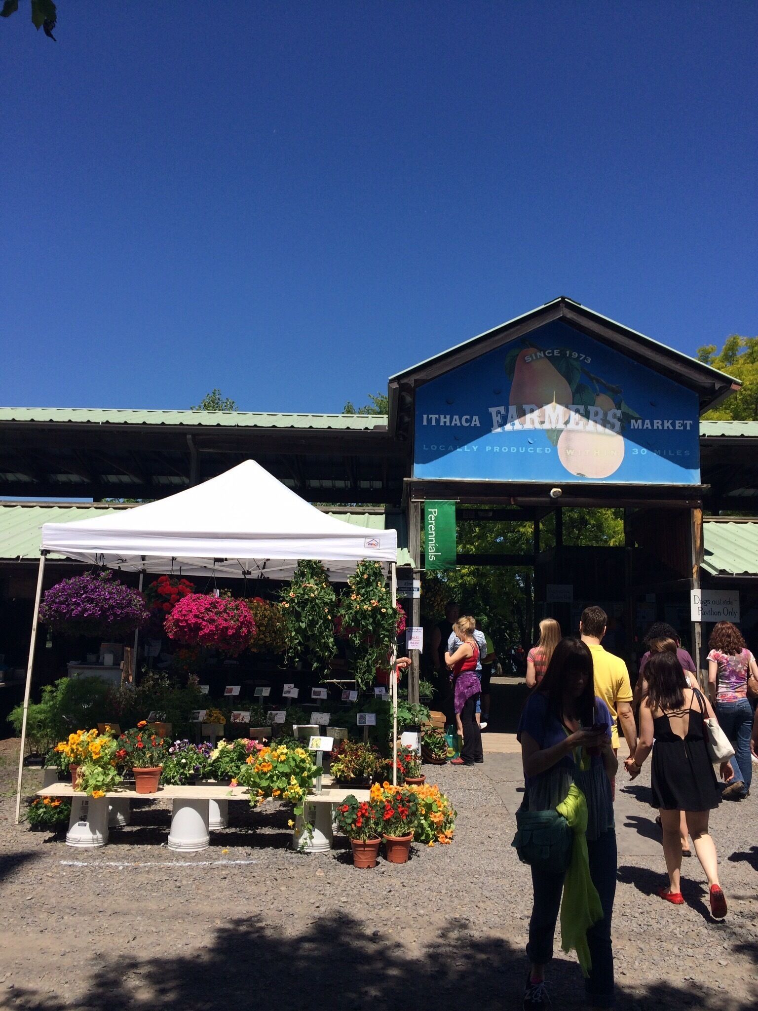A farmers market with a blue sign reading "ITHACA FARMERS MARKET" and a white tent selling flowers.