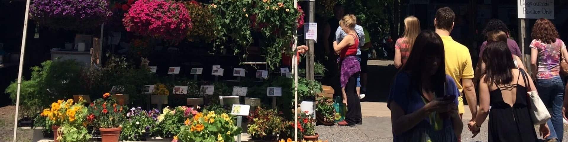 A farmers market with a blue sign reading "ITHACA FARMERS MARKET" and a white tent selling flowers.