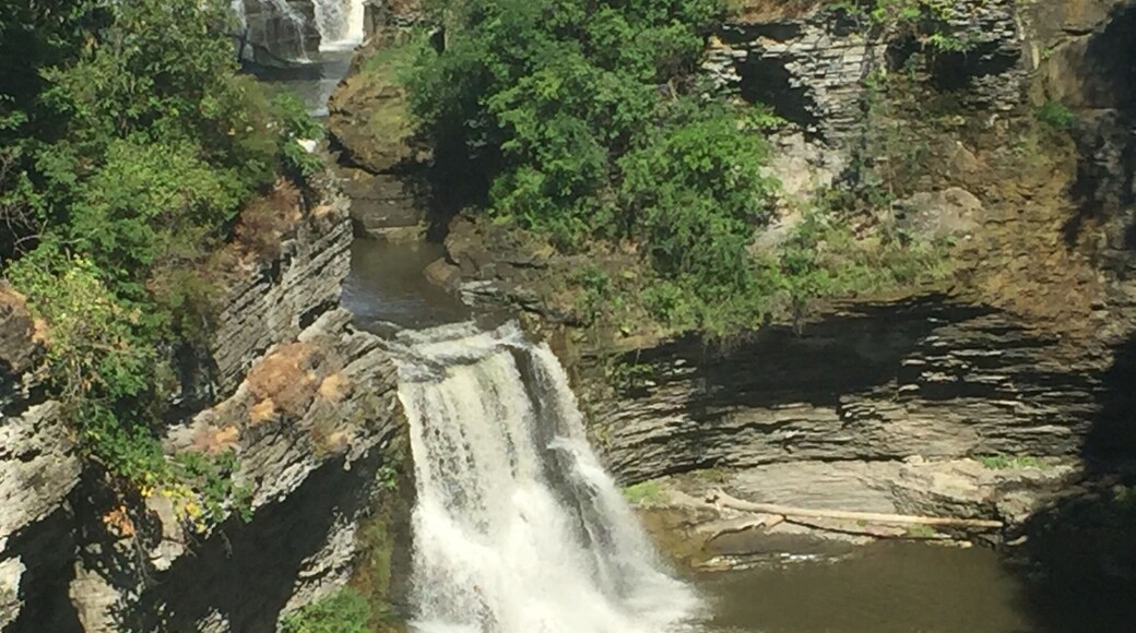 Overlook from bridge