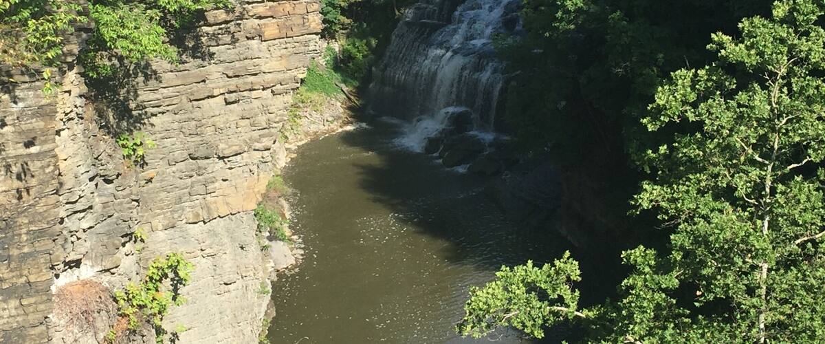 Cornell University