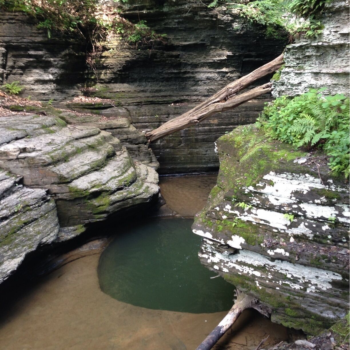 Thanks to trover Members I'm now lost in Ithaca NY and area exploring and hiking in areas so beautiful beyond words. Today I hiked Watkins Glen and Buttermilk Falls. Now I'm hiding in a Dunkin Donuts waiting for the storm to blow over. Hopefully I still have a tent when I return to my site at Watkins.