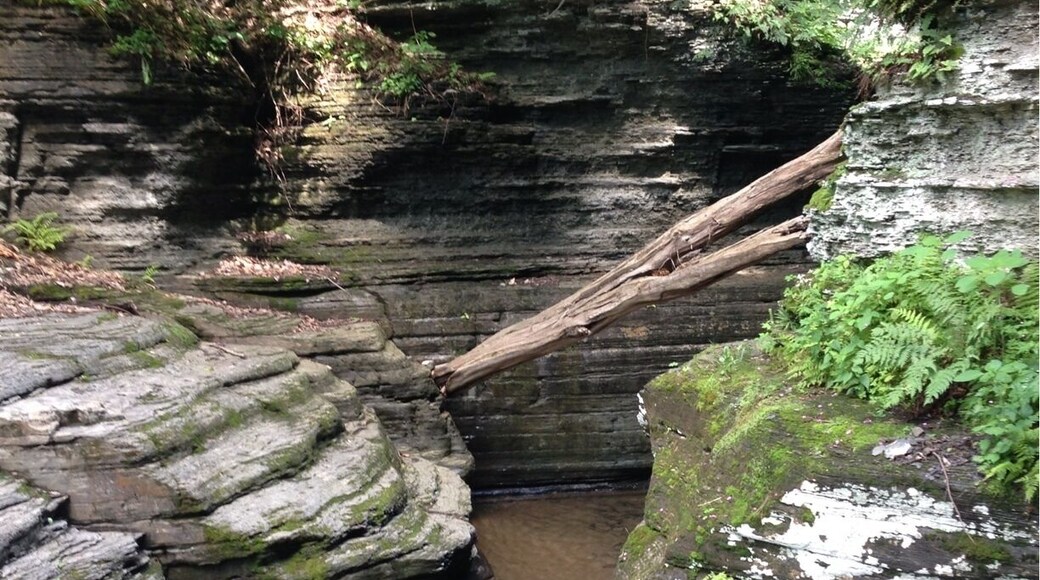 Thanks to trover Members I'm now lost in Ithaca NY and area exploring and hiking in areas so beautiful beyond words. Today I hiked Watkins Glen and Buttermilk Falls. Now I'm hiding in a Dunkin Donuts waiting for the storm to blow over. Hopefully I still have a tent when I return to my site at Watkins.