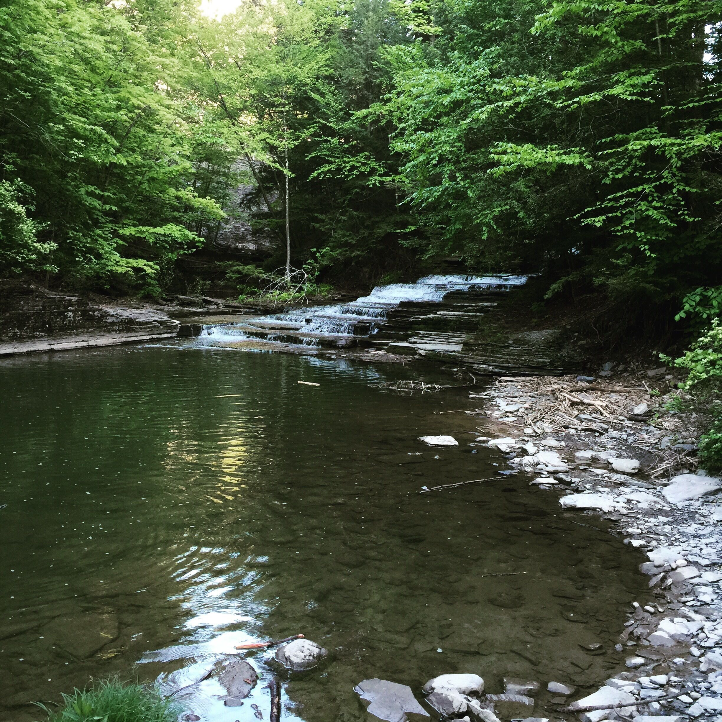 Very nice relaxing park.