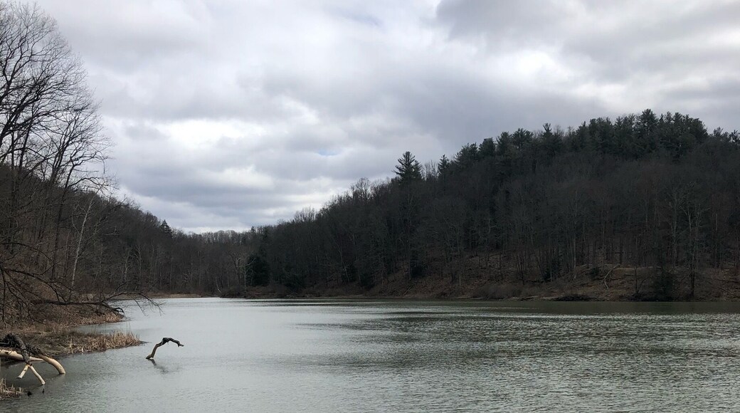 Definitely worth following the marks on the trees to this beauty.